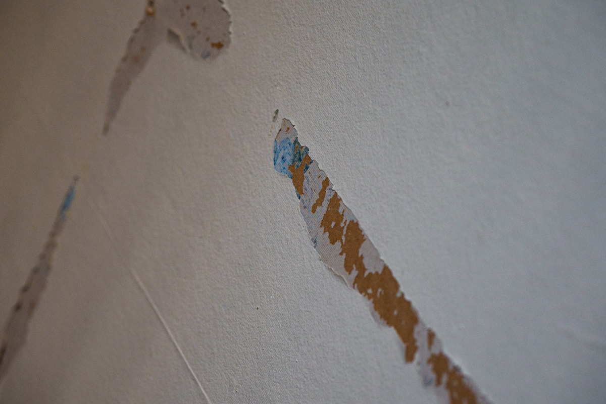 Mold Remediation service in Burlington, NC